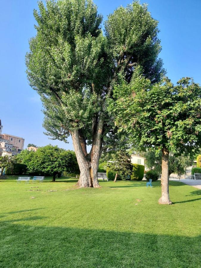 Ferienwohnung Residenza Palmira Bardolino Calmasino Exterior foto